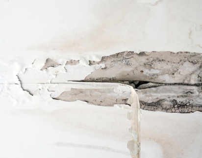 Close-up photos of cracks, efflorescence, water stains, and damaged walls in commercial buildings